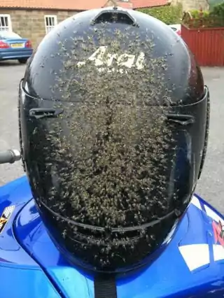 clean bugs off helmet visor